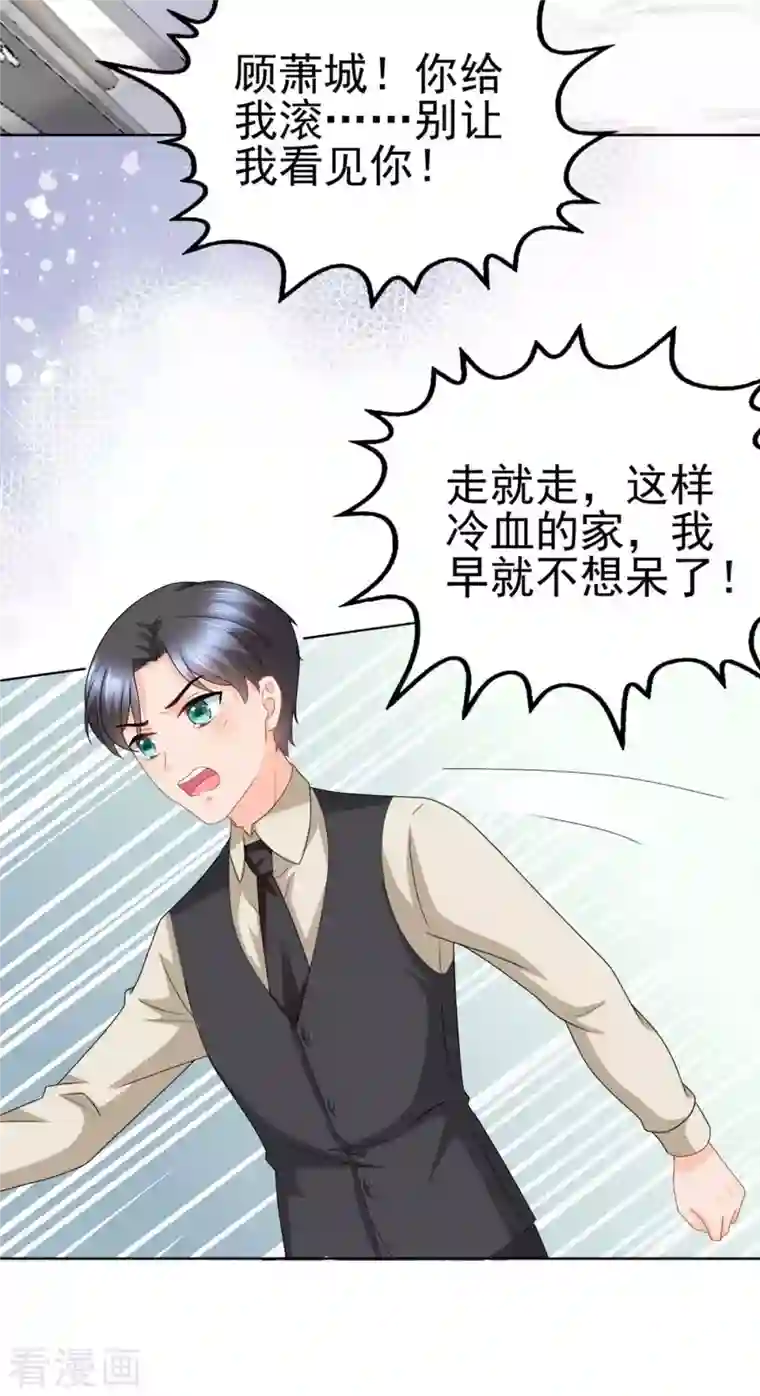 复婚之战：总裁追妻路漫漫番外1 缘起