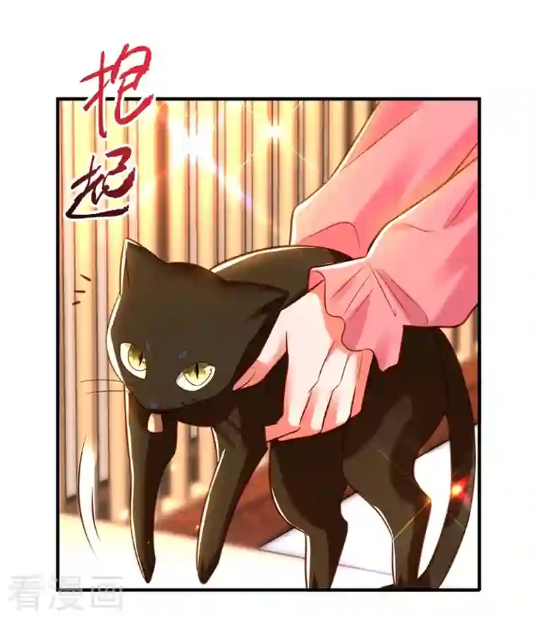 重生空间：豪门辣妻不好惹第252话 白晴月？她怎么在这