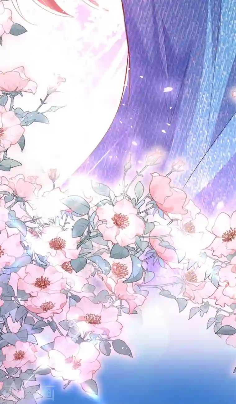 重生空间：豪门辣妻不好惹第273话 我不想你冒险