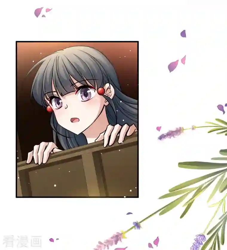 寻找前世之旅第2季第89话 佛兰德尔的弟弟1