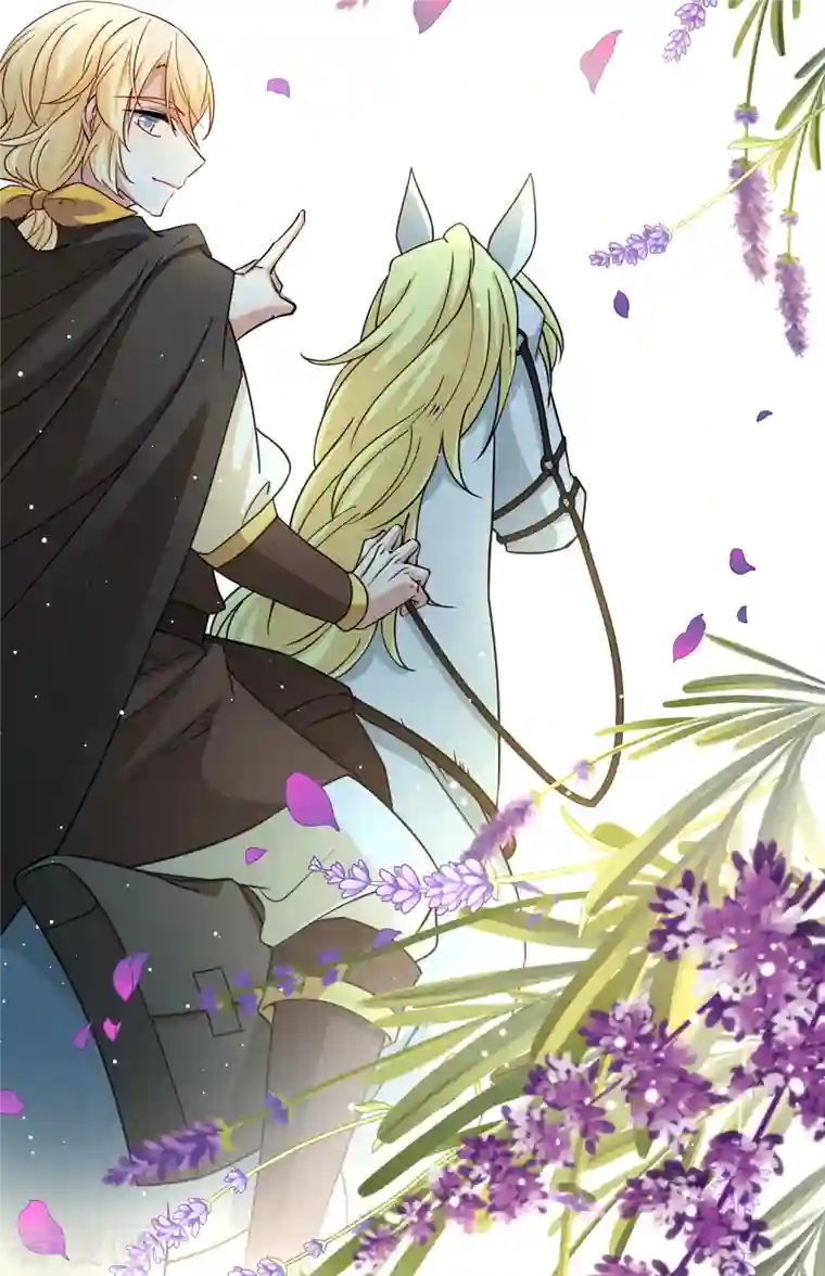 寻找前世之旅第2季第89话 佛兰德尔的弟弟1