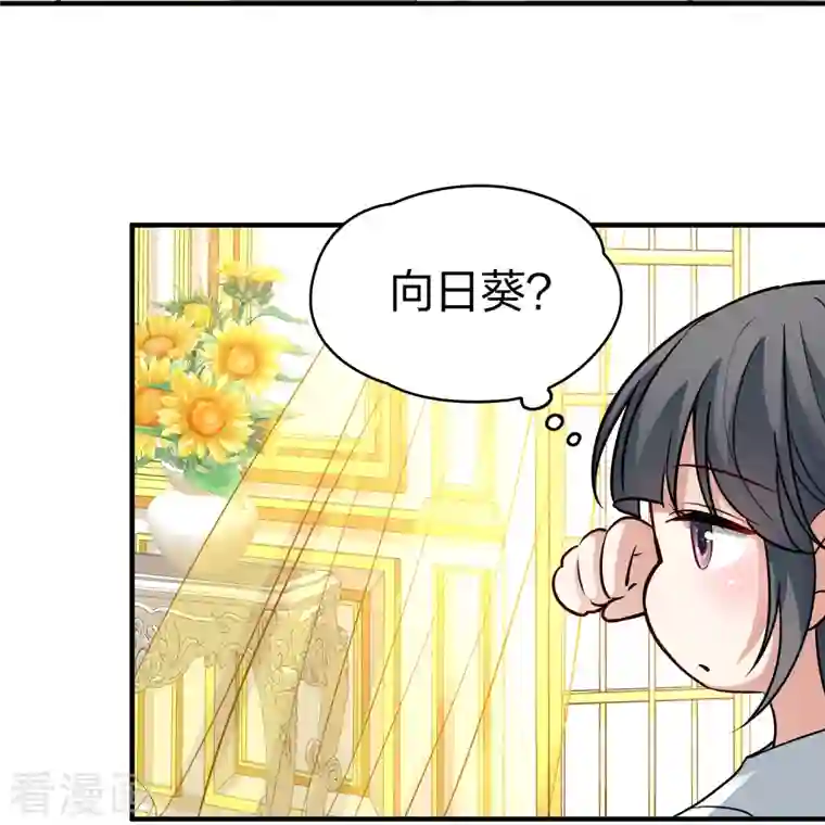 寻找前世之旅第2季第92话 佛兰德尔的弟弟4