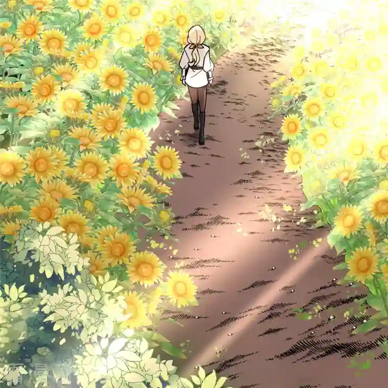 寻找前世之旅第2季第92话 佛兰德尔的弟弟4