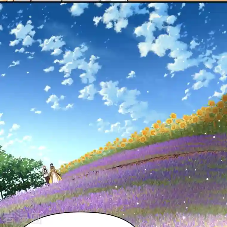 寻找前世之旅第2季第92话 佛兰德尔的弟弟4