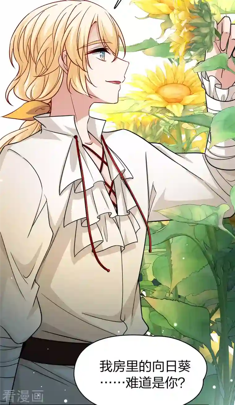 寻找前世之旅第2季第92话 佛兰德尔的弟弟4