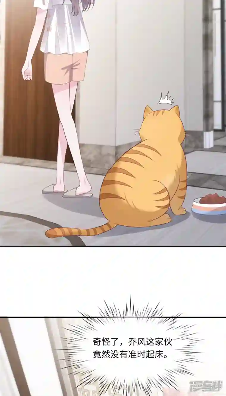 隔壁那个饭桶番外3 男神变猫