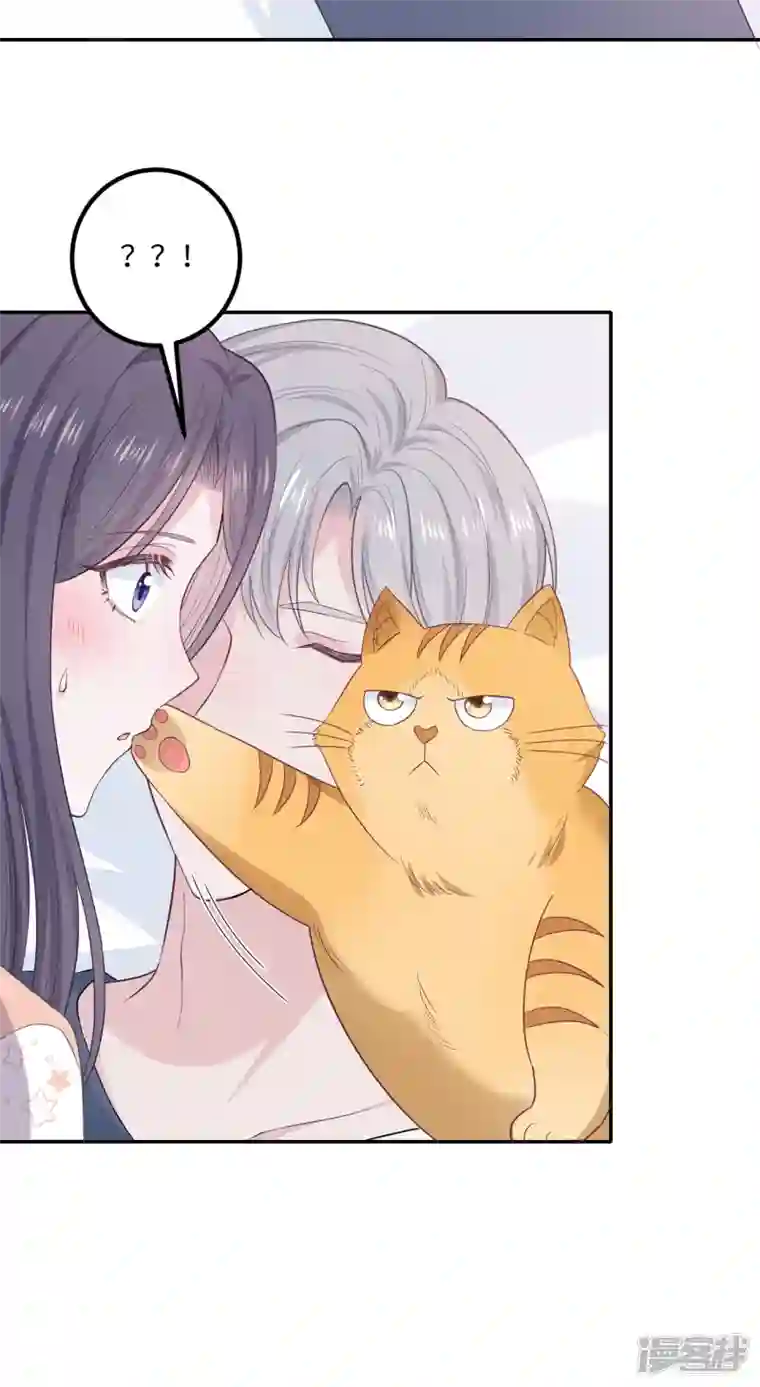 隔壁那个饭桶番外3 男神变猫