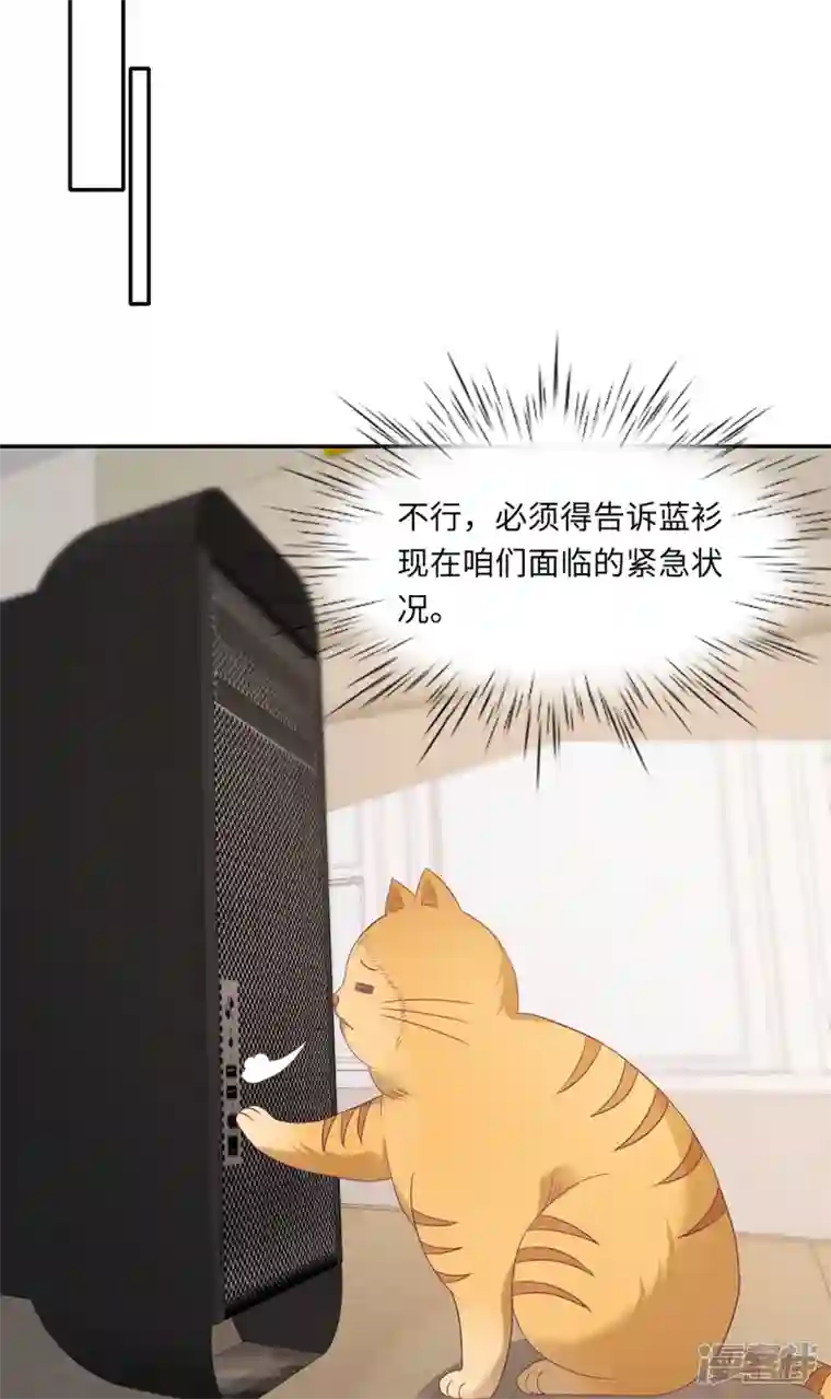 隔壁那个饭桶番外3 男神变猫