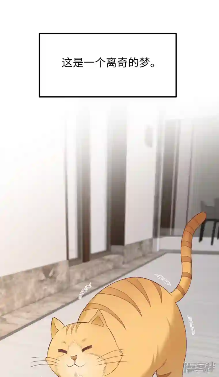 隔壁那个饭桶番外3 男神变猫