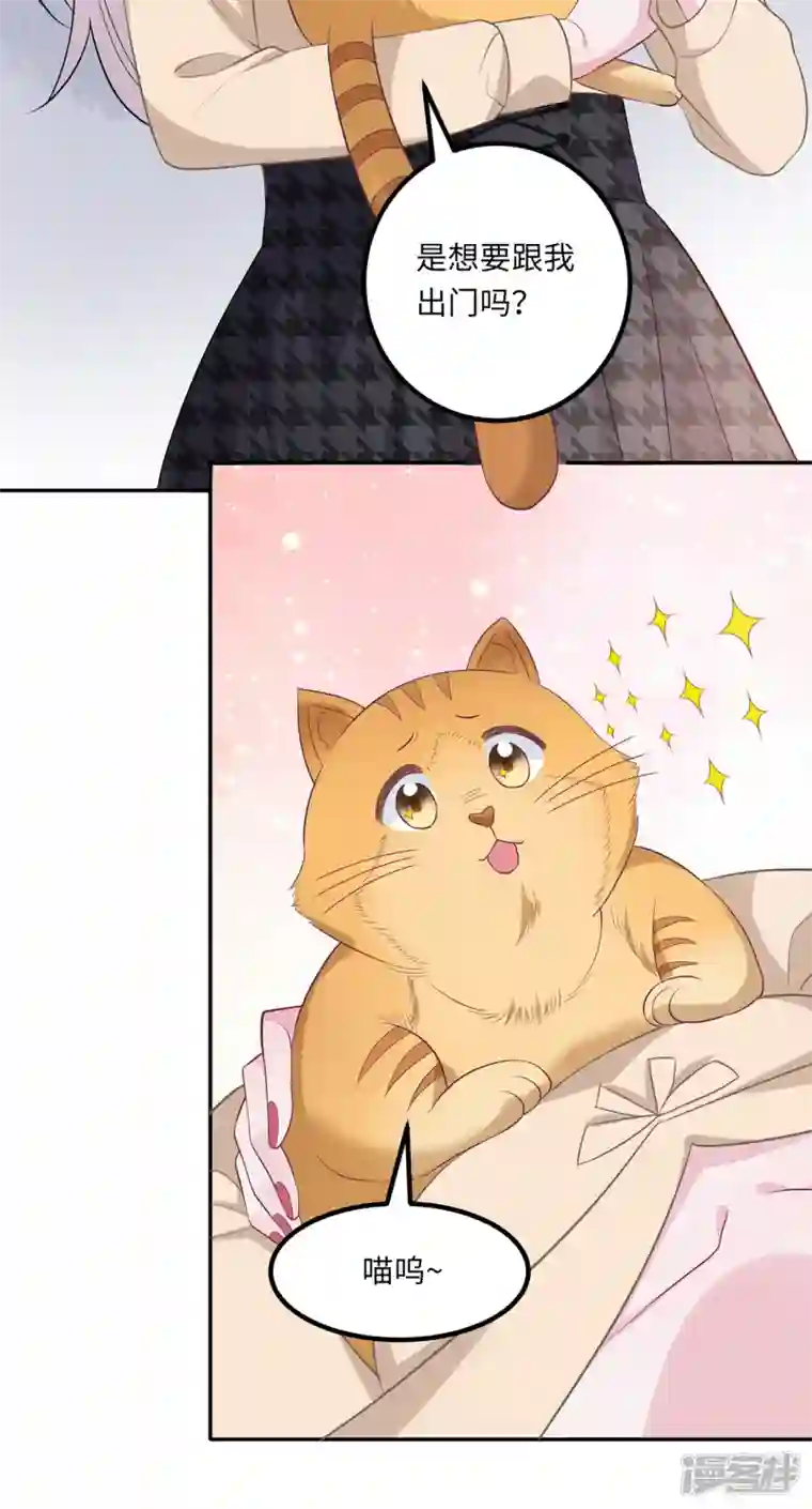 隔壁那个饭桶番外3 男神变猫