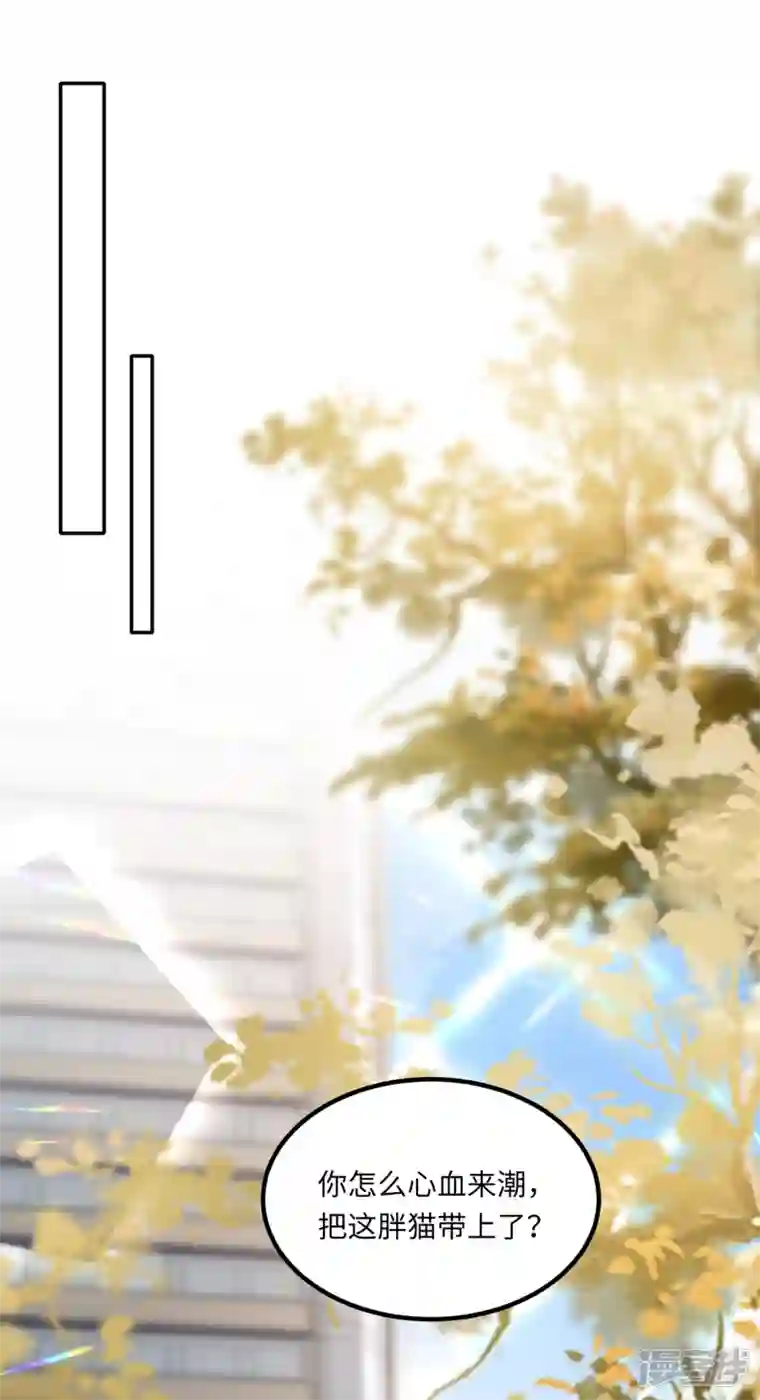 隔壁那个饭桶番外3 男神变猫