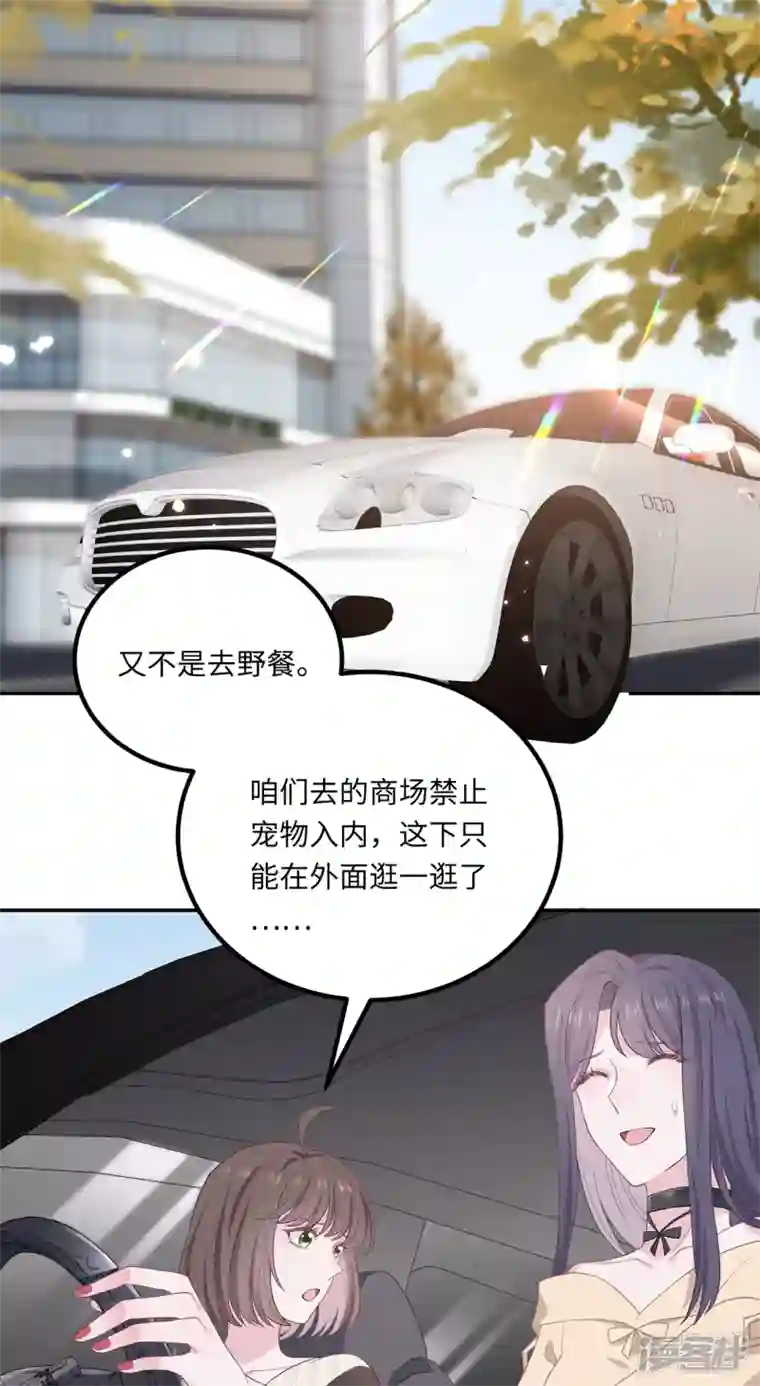 隔壁那个饭桶番外3 男神变猫