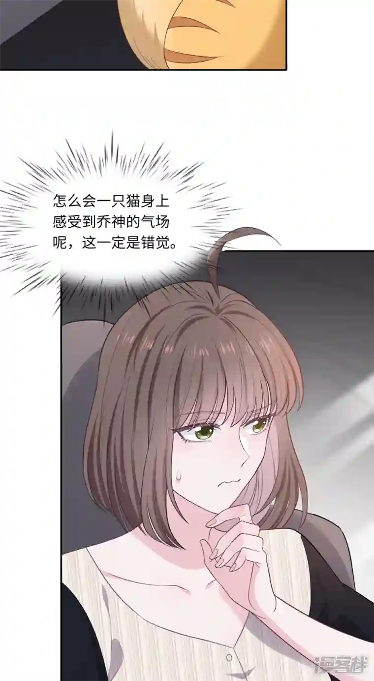 隔壁那个饭桶番外3 男神变猫