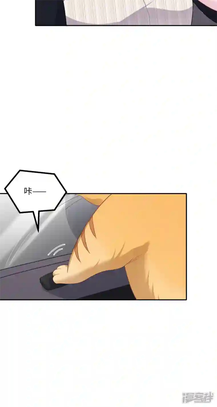 隔壁那个饭桶番外3 男神变猫