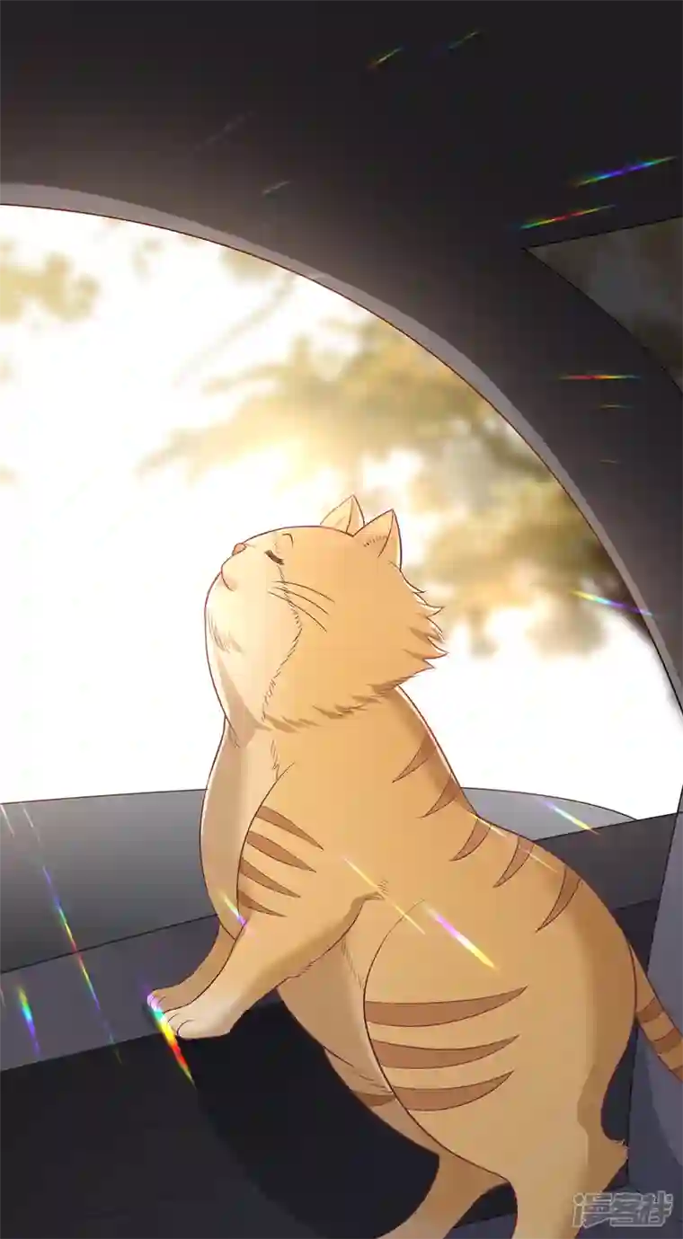 隔壁那个饭桶番外3 男神变猫