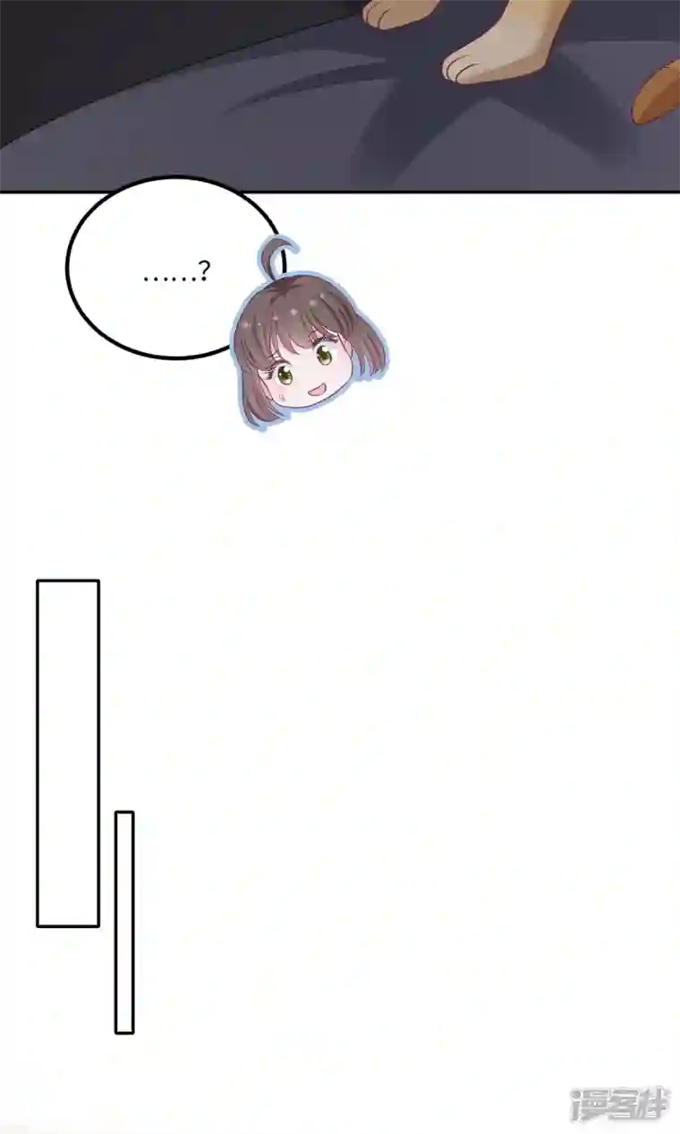 隔壁那个饭桶番外3 男神变猫