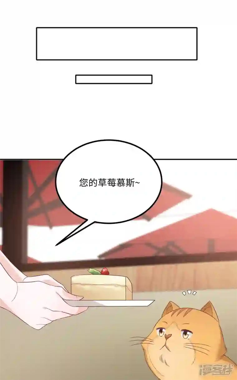 隔壁那个饭桶番外3 男神变猫