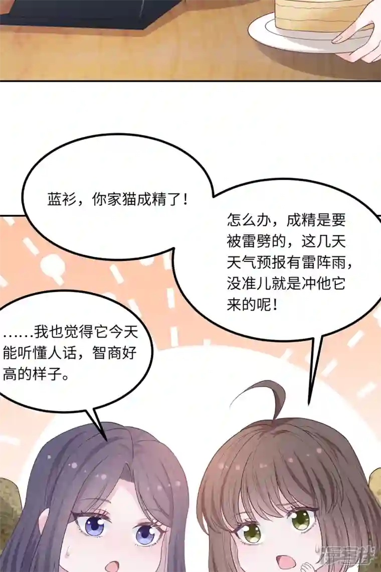 隔壁那个饭桶番外3 男神变猫