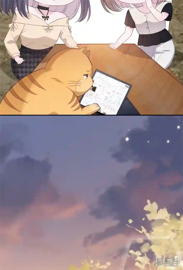 隔壁那个饭桶番外3 男神变猫
