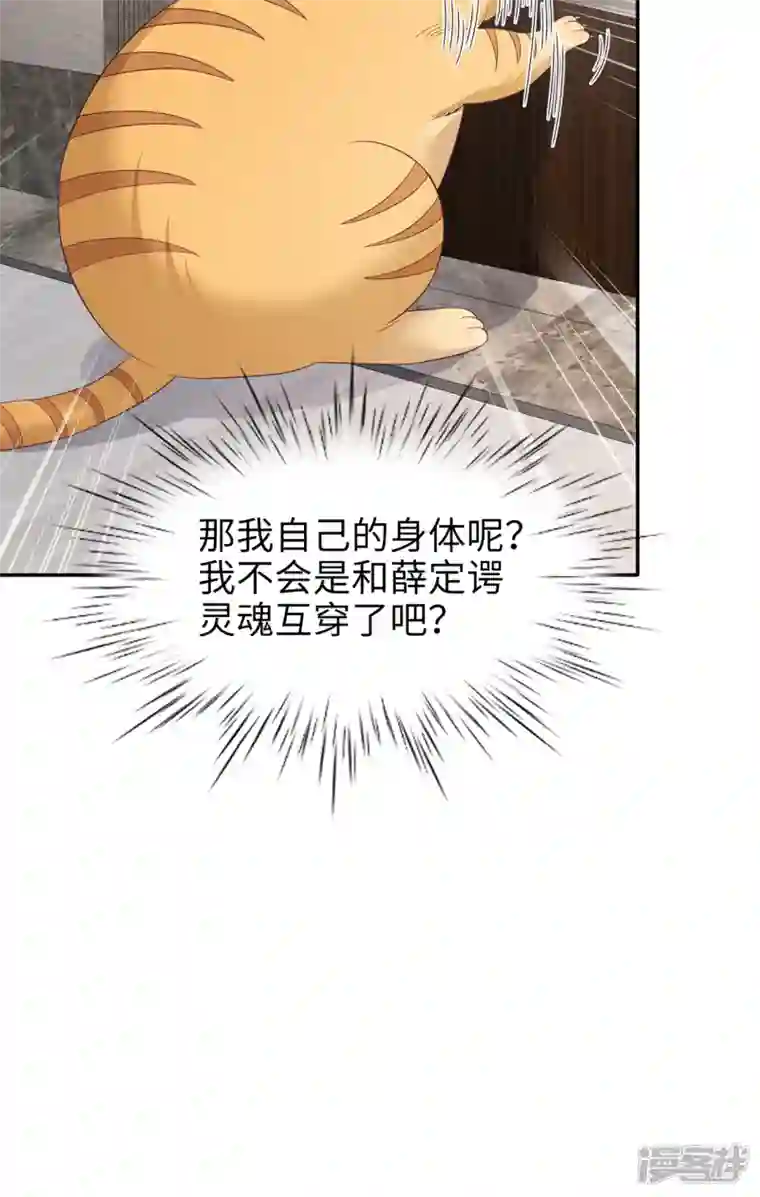 隔壁那个饭桶番外3 男神变猫