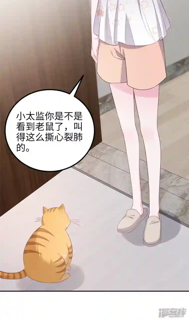 隔壁那个饭桶番外3 男神变猫
