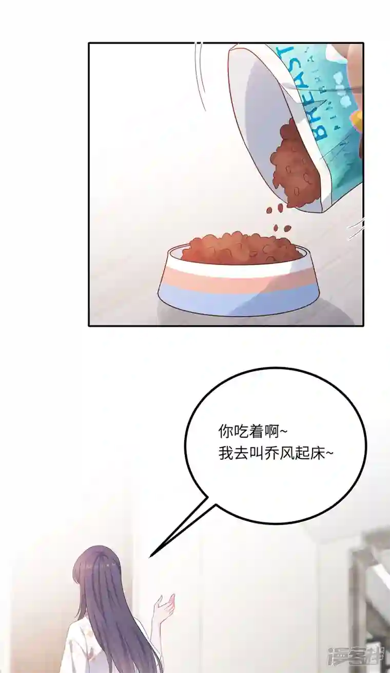 隔壁那个饭桶番外3 男神变猫