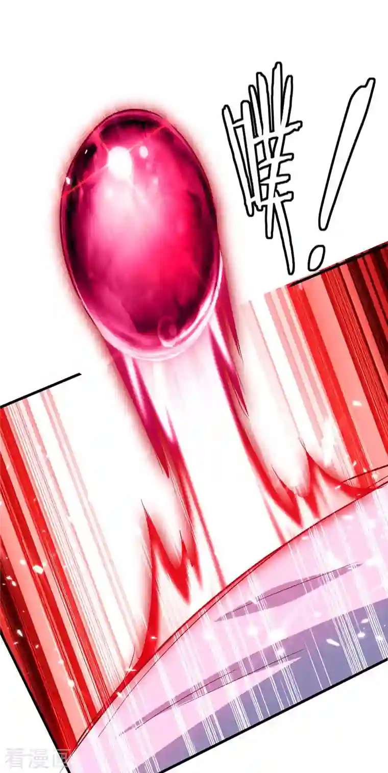 仙帝归来第247话 不知死活