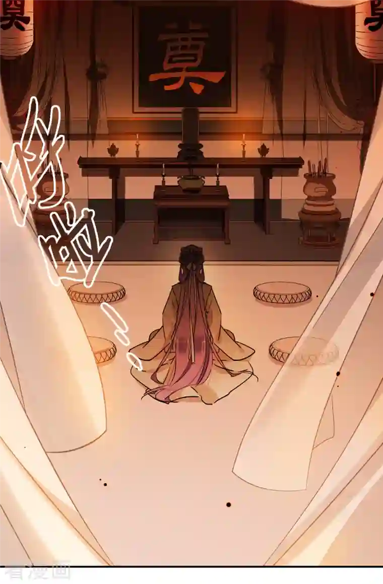 上国赋之千堆雪第262话 共同目标3