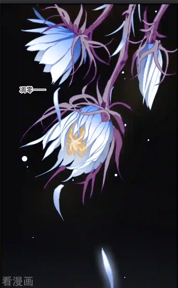 上国赋之千堆雪第275话 久别重逢3