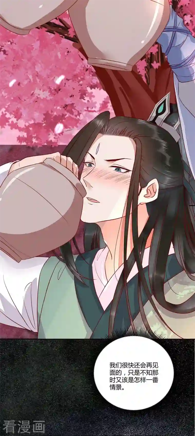 杀手王妃不好惹第110话 把酒言欢