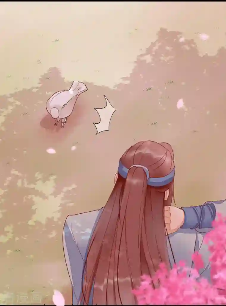 杀手王妃不好惹第111话 阴谋