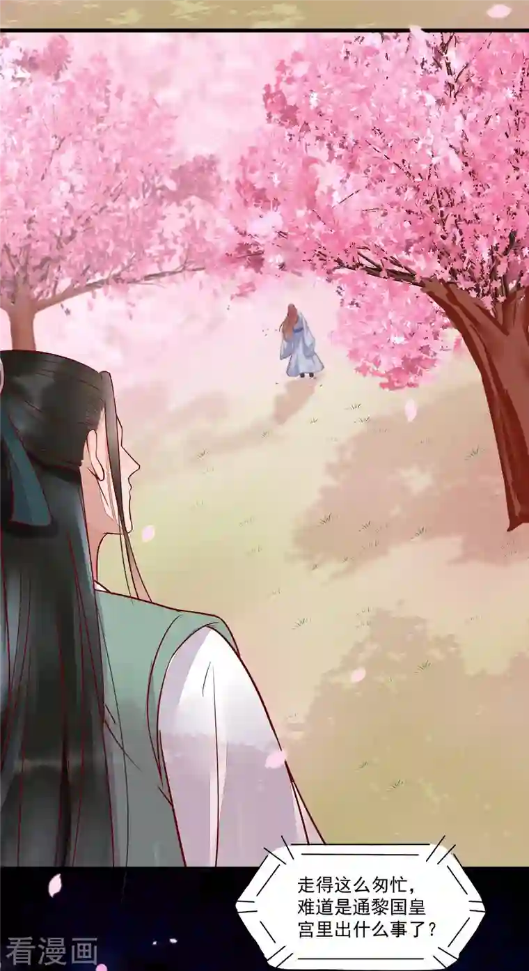 杀手王妃不好惹第111话 阴谋