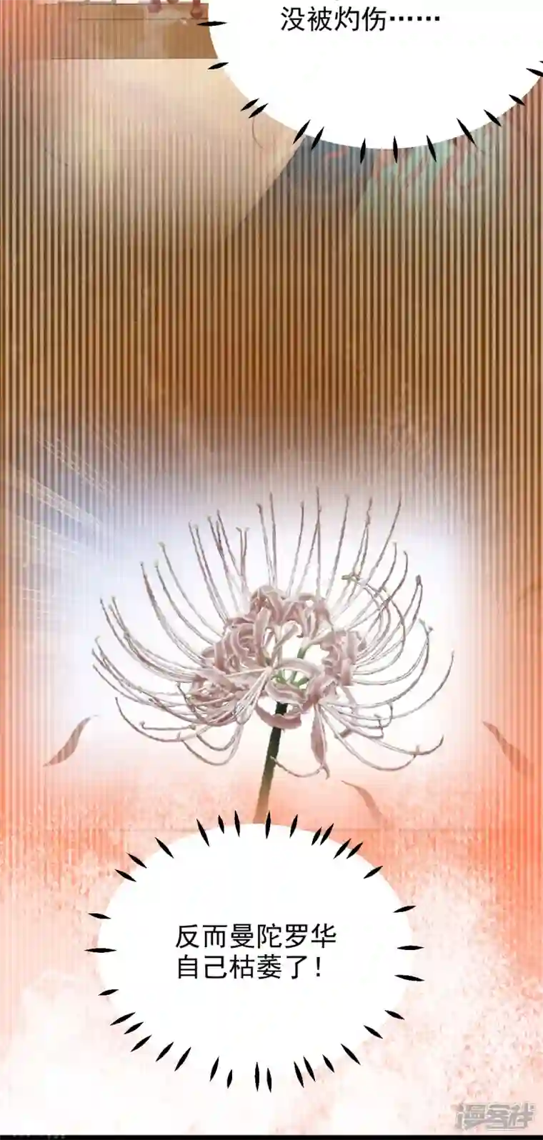 三生彼岸花第63话 苏绾绾爆发