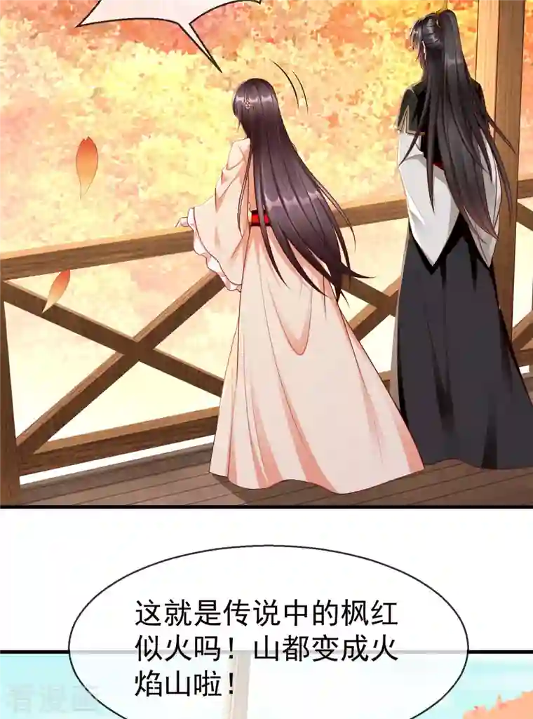 王妃是朵白莲花第70话 使用贼人的手段