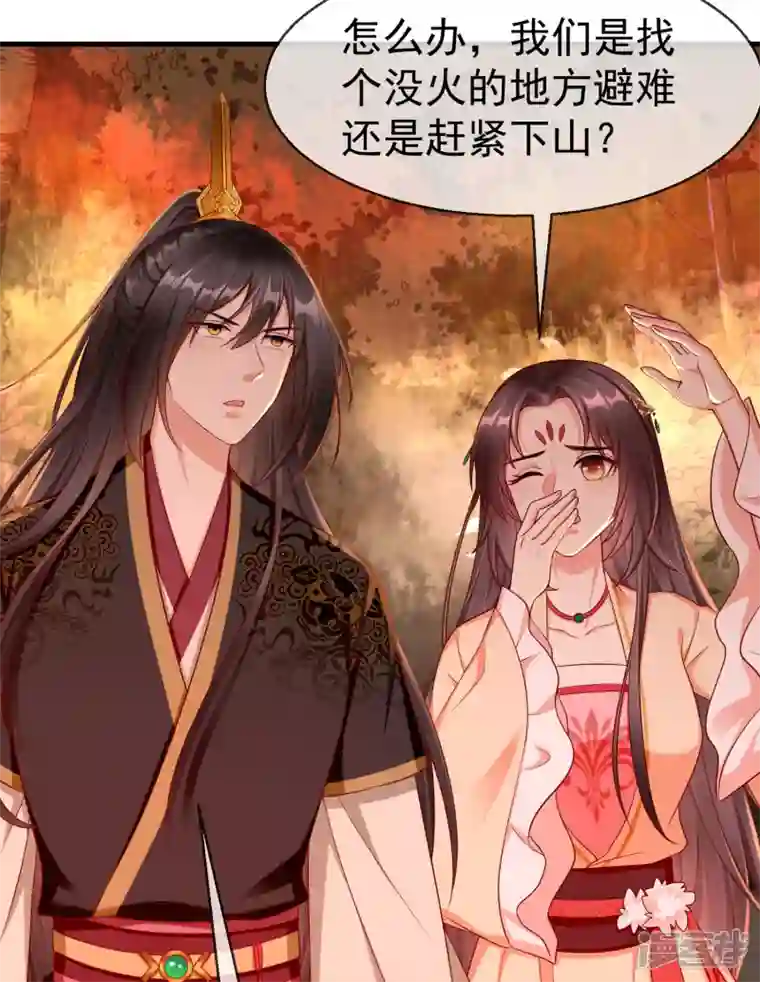 王妃是朵白莲花第71话 真有人放火烧山？！