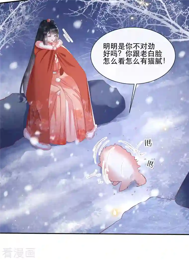王妃是朵白莲花第113话 是喜欢还是崇拜？