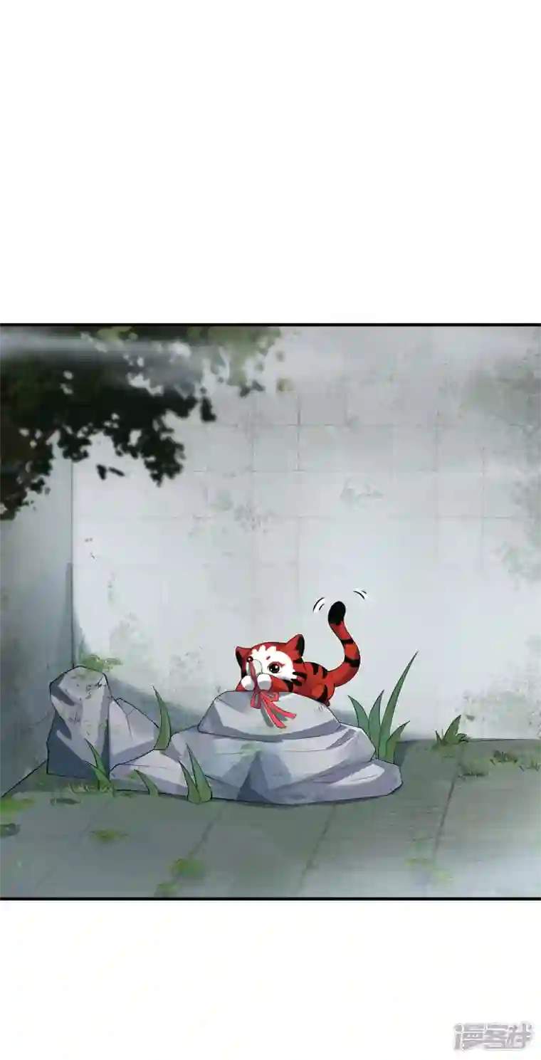 吾本是猫第24话 筑基的礼物