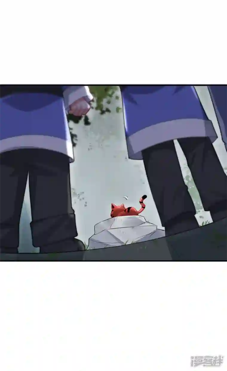 吾本是猫第24话 筑基的礼物