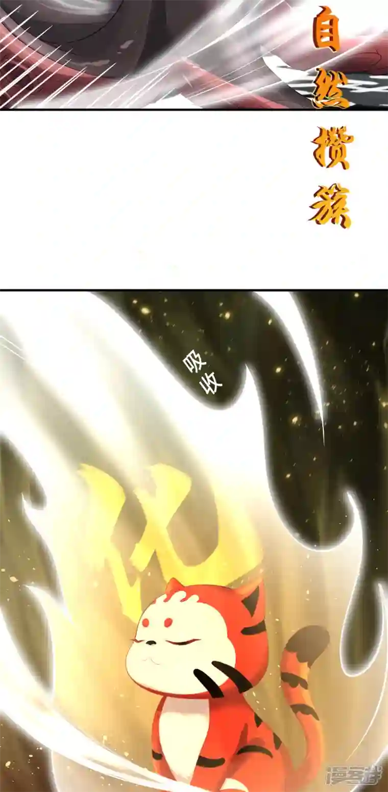 吾本是猫第27话 以器炼魂