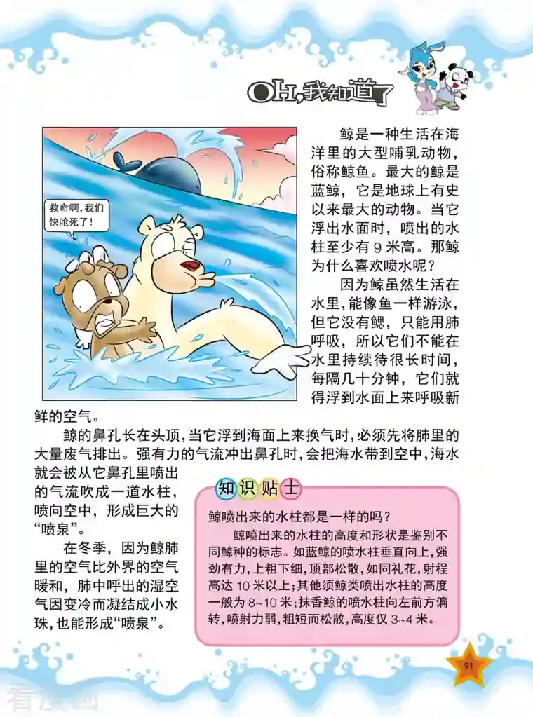 虹猫蓝兔十万个为什么第21话