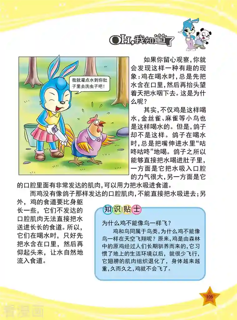 虹猫蓝兔十万个为什么第25话