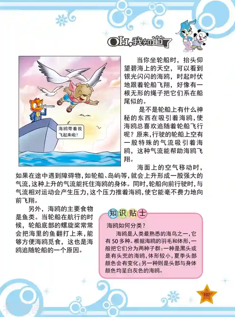 虹猫蓝兔十万个为什么第25话