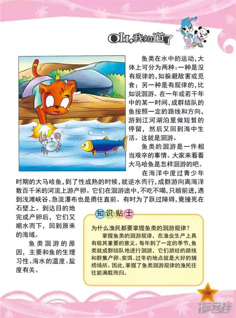 虹猫蓝兔十万个为什么第32话