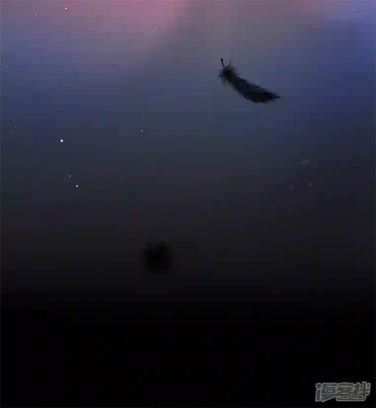 重生成血族总裁的小甜点第22话 为她定制