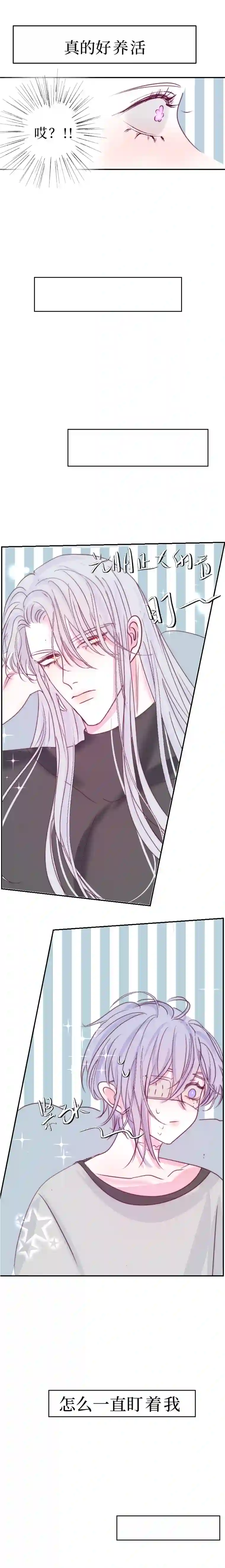 穿越遇上重生同床共眠 中