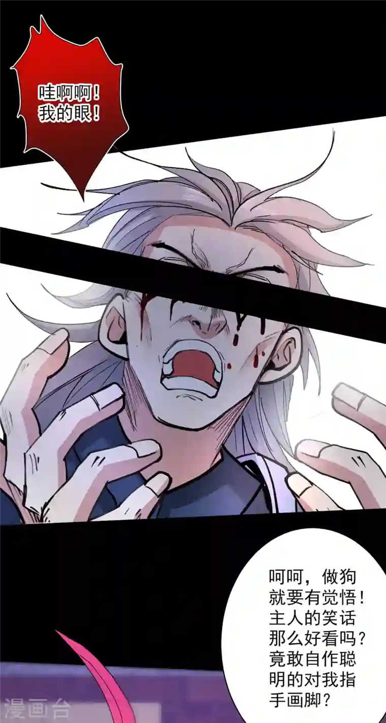 被美女师傅调教成圣的99种方法第43话 你还是一如既往的蠢！