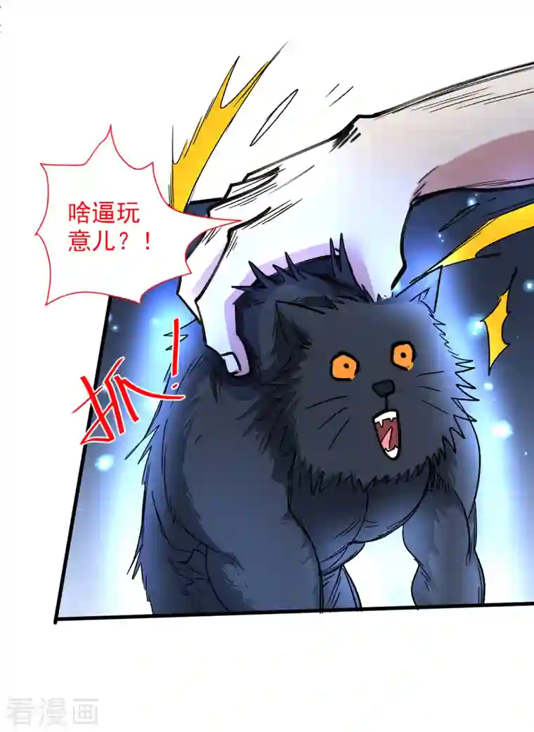 被美女师傅调教成圣的99种方法第55话 超凡境野猫！？