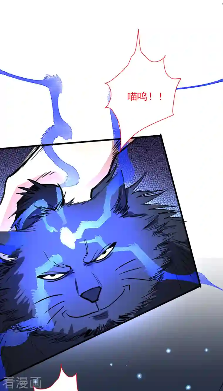 被美女师傅调教成圣的99种方法第55话 超凡境野猫！？