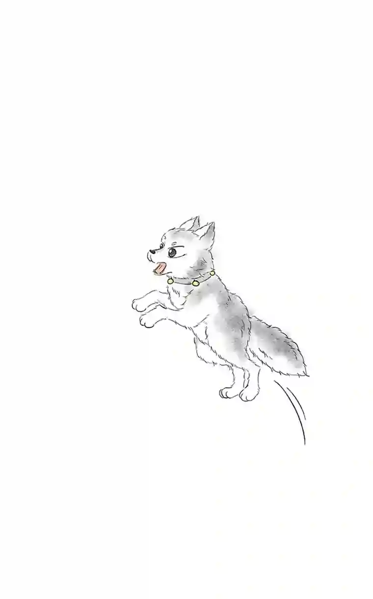 十万个冷CP晓星尘