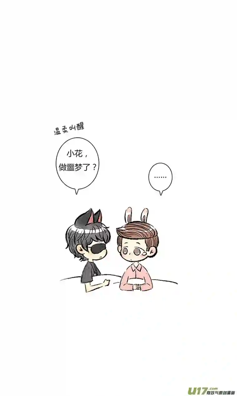 十万个冷CP小花